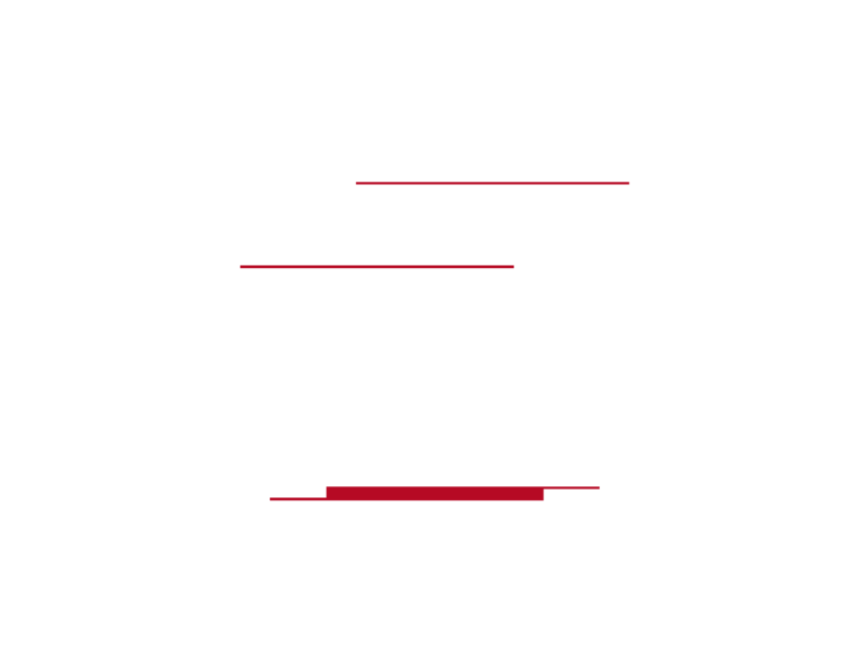 SACHTA&SPACEK_Logo_synergie